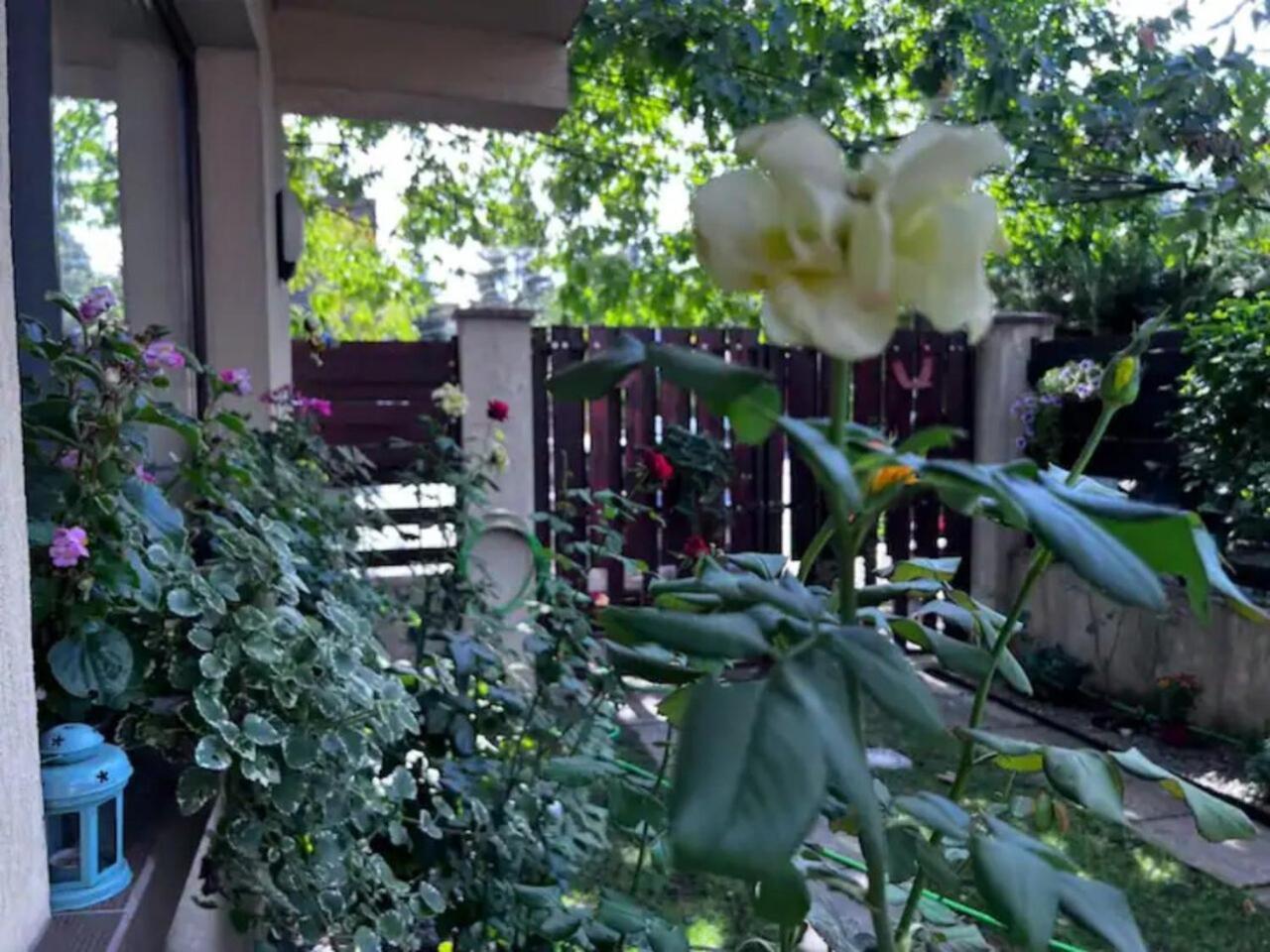 Vila Luminoasa Cu Curte Privata Bucharest Luaran gambar