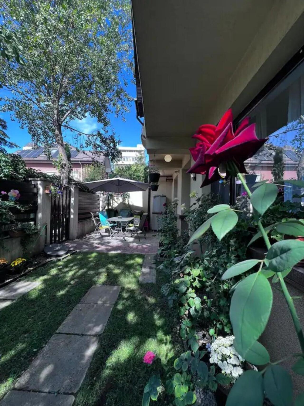 Vila Luminoasa Cu Curte Privata Bucharest Luaran gambar